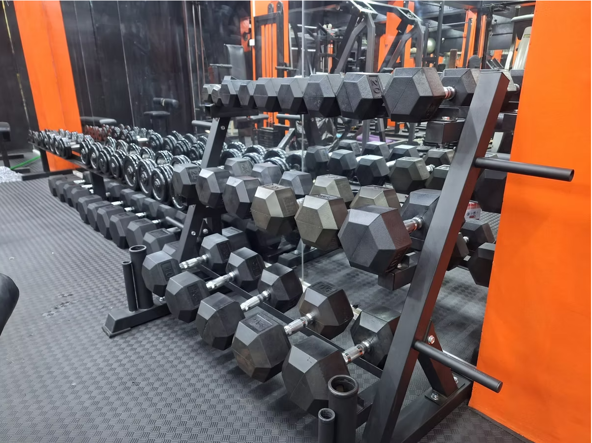 Dumbbell rack